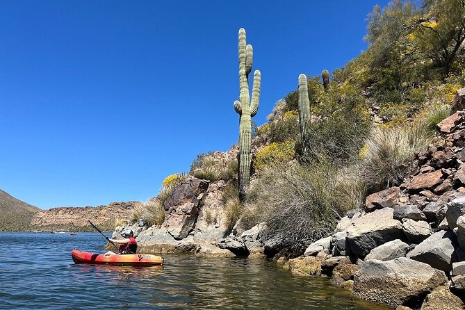 Kayaking 3 Hr Canyon & Cliffside on Saguaro Lake - Paddling the Canyon and Cliffside Views for the Full 3 Hours