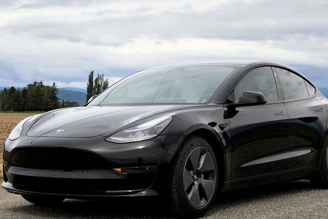 Luxury Private Tesla Transfer from Phoenix Airport to Hotels - Key Things You Should Know About This Phoenix Tesla Transfer