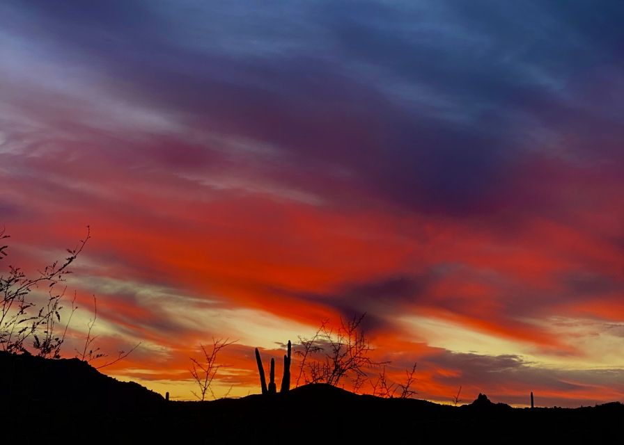 Phoenix: Amazing Two-Hour Guided Hike in the Sonoran Desert - A Two-Hour Sonoran Desert Hike That Actually Feels Worth It