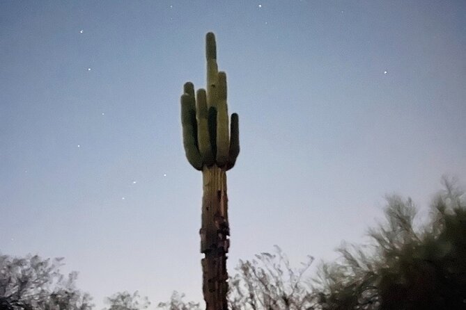 Phoenix Mountains Preserve Night Glow Hike - A Night-Glow Scavenger Hunt in Phoenix