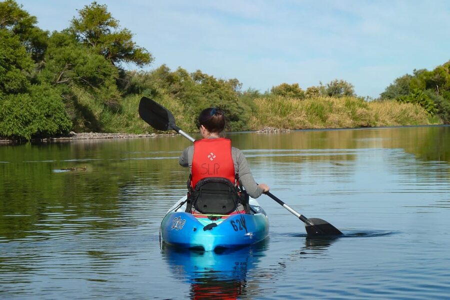 Phoenix: Self-Guided Kayaking Trip to Foxtail - Wildlife watching on the river: what to look for and when