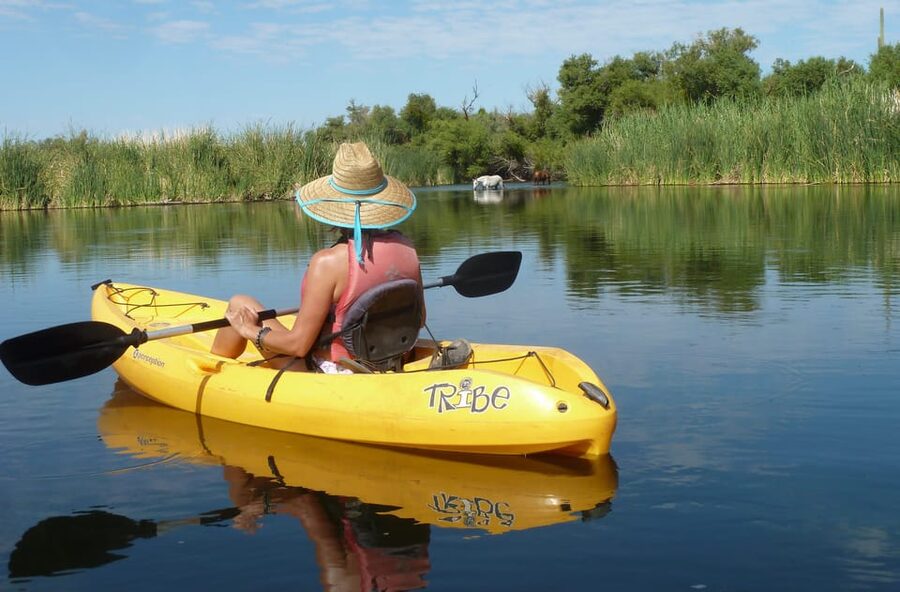 Phoenix: Self-Guided Kayaking Trip to Foxtail - Kayak comfort and limits: who fits the boat and who should choose another plan