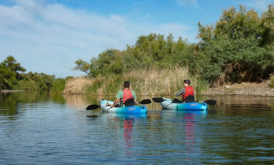 Phoenix: Self-Guided Kayaking Trip to Foxtail - Price and value at about $64 per person