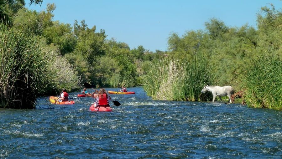 Phoenix: Self-Guided Kayaking Trip to Foxtail - Check-in at Saguaro Lake Guest Ranch: smooth start, clear gear