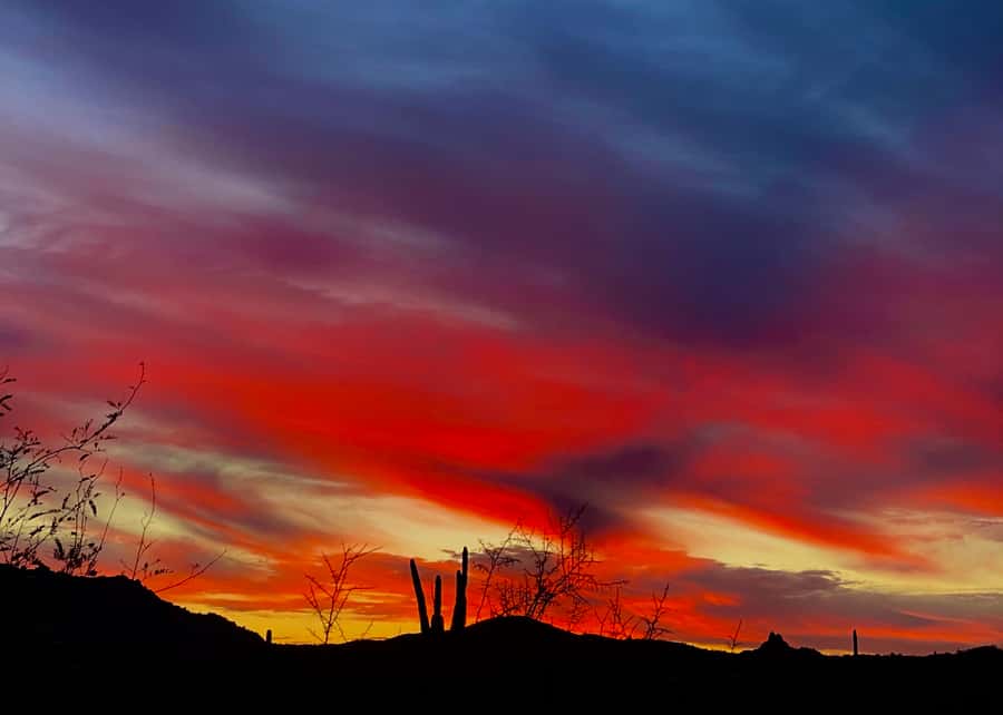 Phoenix: Sonoran Desert Guided Sunset Hike - Phoenix Mountains Preserve start: what “meet your guide” really looks like