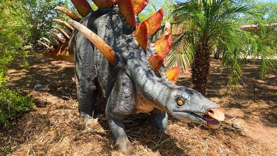 Phoenix Zoo One Day General Admission Ticket - Key things to know before you go