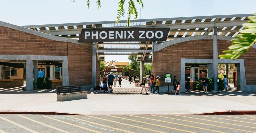 Phoenix Zoo One Day General Admission Ticket - Should you book a Phoenix Zoo one-day general admission ticket?