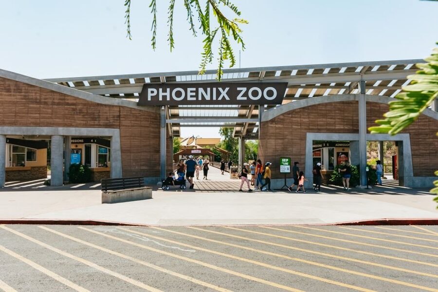 Phoenix Zoo One Day General Admission Ticket - Big Cats of Arizona plus the signature animals you’ll plan around
