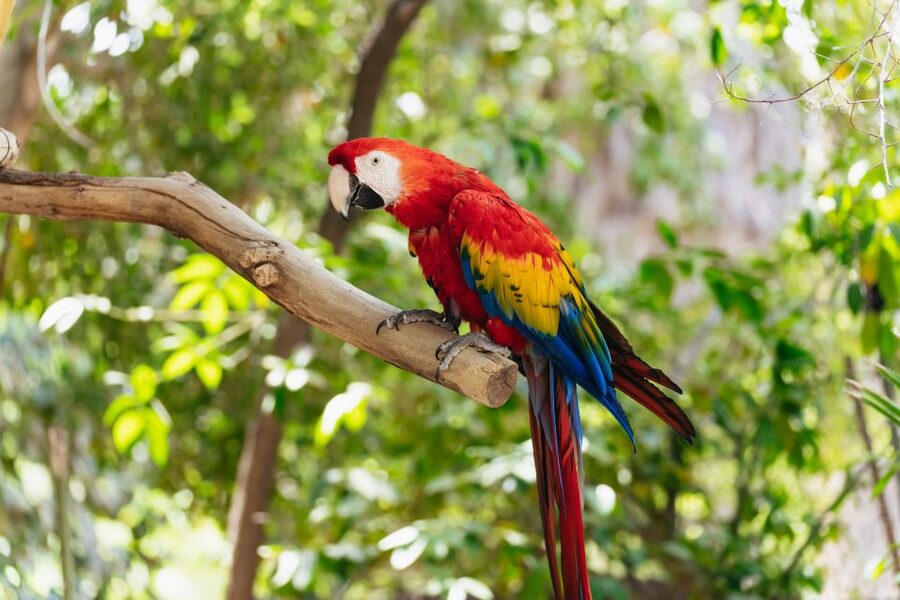 Phoenix Zoo One Day General Admission Ticket - Price and value: is $39 a fair deal for your time?