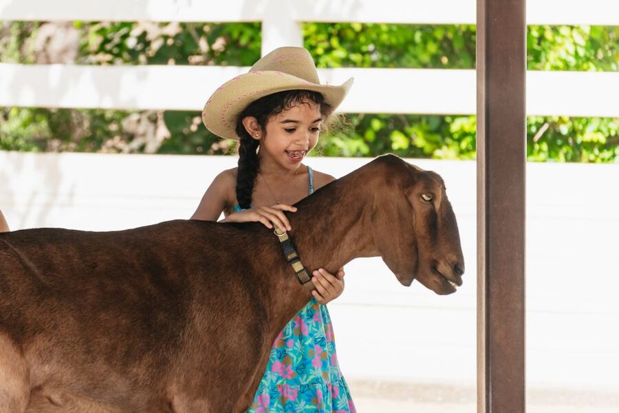 Phoenix Zoo One Day General Admission Ticket - How to see more in 2–4 hours without rushing your eyes