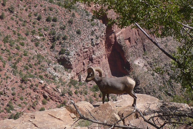 Private Grand Canyon Day Tour from Phoenix & Scottsdale - The guide factor: why Christian, Phil, and Alan get mentioned