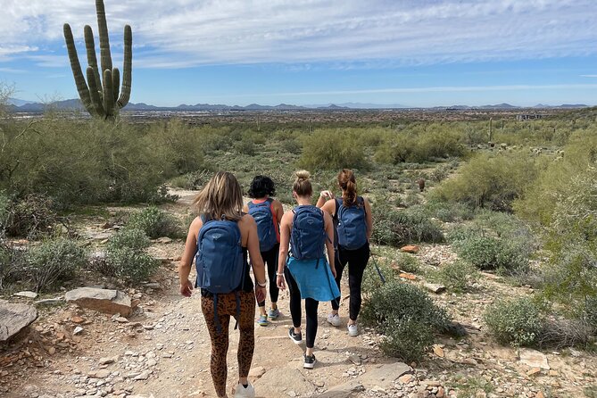 Private Scottsdale Day Hiking Tour - McDowell Sonoran Preserve hike: Saguaro views, desert life, and real breathing room