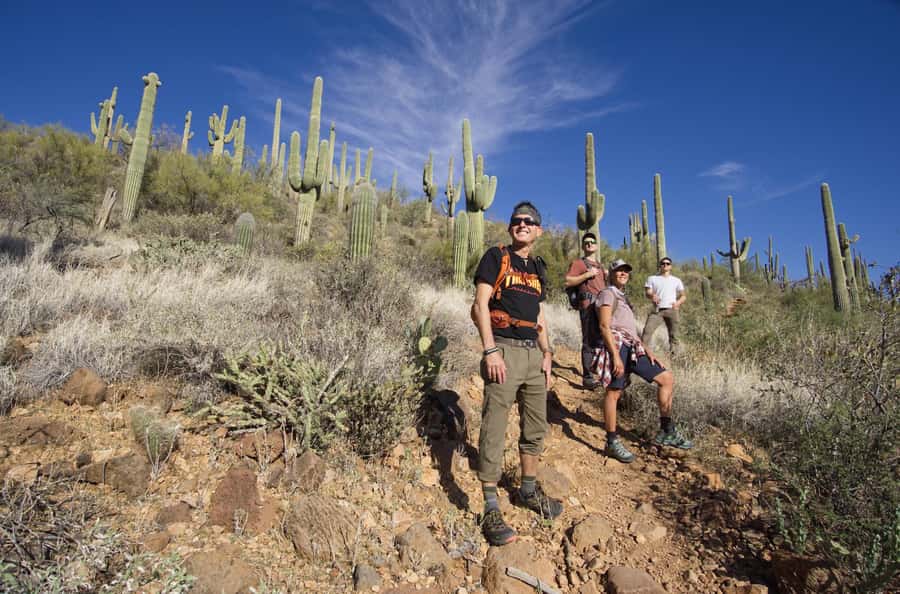 Scottsdale: Desert Classic Guided Hike | Amazing Scenery! - Scottsdale’s McDowell Desert: Why This Guided Loop Works