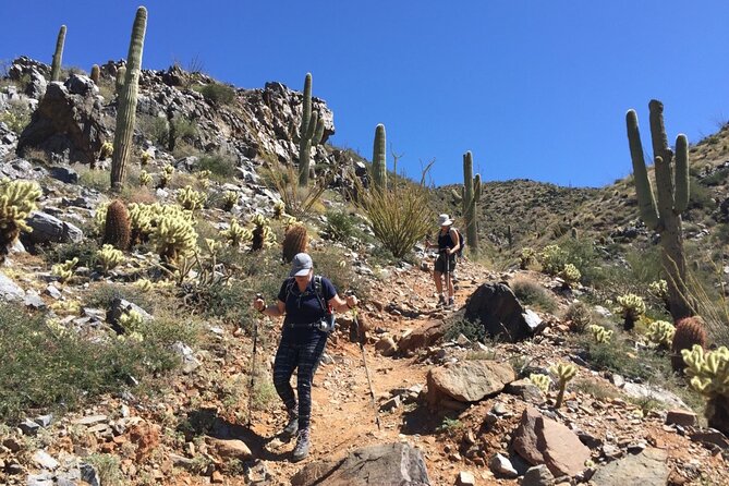 Scottsdale Desert Classic Guided Hiking Adventure - Quick hits you’ll care about