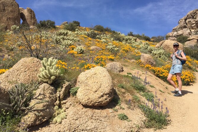Scottsdale Desert Classic Guided Hiking Adventure - Guides From Mad Desert Trekking: The Real Reason People Rate This So High