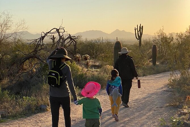 Scottsdale Desert Classic Guided Hiking Adventure - What’s Included: Value Beyond the “Guide Price”