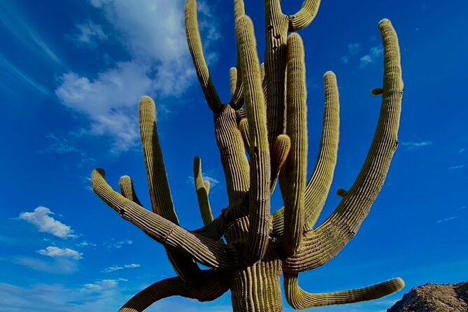 Scottsdale Desert Classic Guided Hiking Adventure - Pricing and Timing: Is $145 Worth It Here?