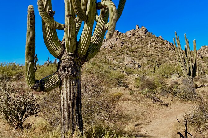 Scottsdale Desert Classic Guided Hiking Adventure - Who Should Book This Hike (and Who Might Want a Plan B)