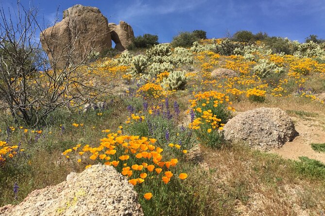 Scottsdale Desert Classic Guided Hiking Adventure - When You Go and What to Bring (So the Desert Doesn’t Win)