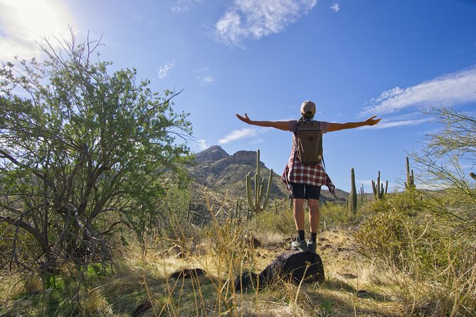Scottsdale Desert Classic Guided Hiking Adventure - How the 3 Hours Actually Fits Your Day