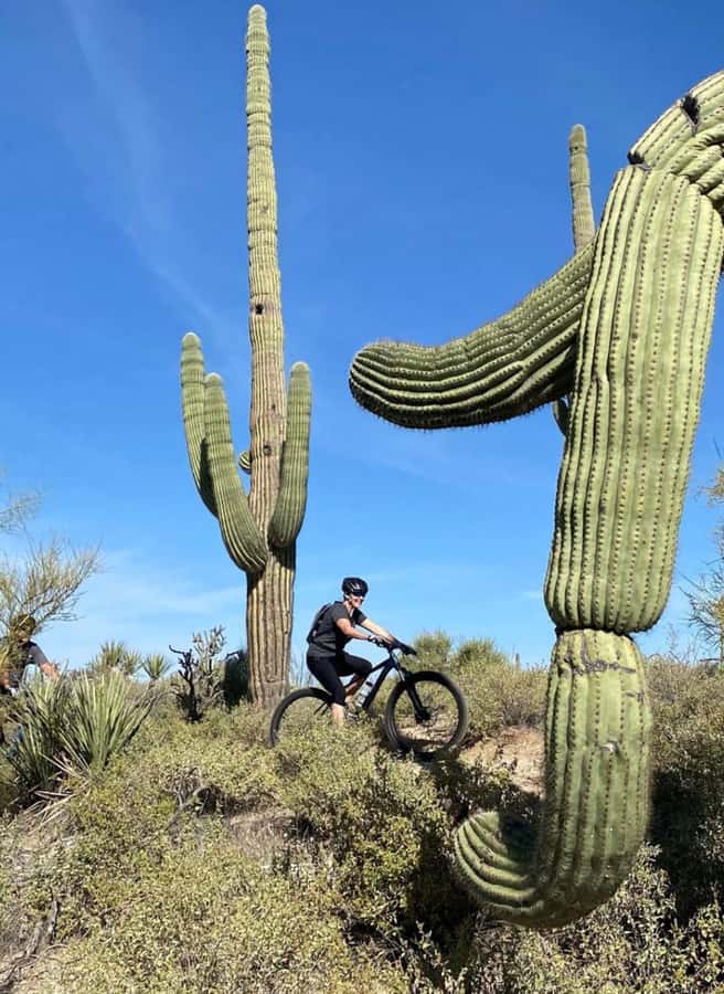 Scottsdale: Guided Mountain Bike Tour through the Desert - Key highlights you’ll feel on this Scottsdale desert ride