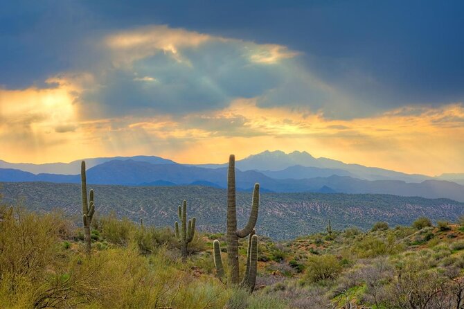 Scottsdale & Phoenix 2 Hour Guided Desert UTV Tour - Key things to know before you ride