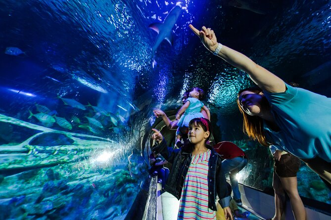 SEA LIFE Aquarium Arizona Admission Ticket - Key Highlights You’ll Actually Use
