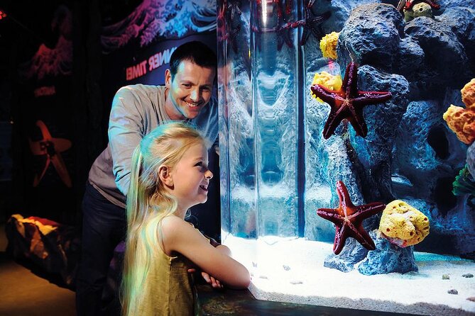 SEA LIFE Aquarium Arizona Admission Ticket - Where It Is: Arizona Mills, Next to LEGOLAND
