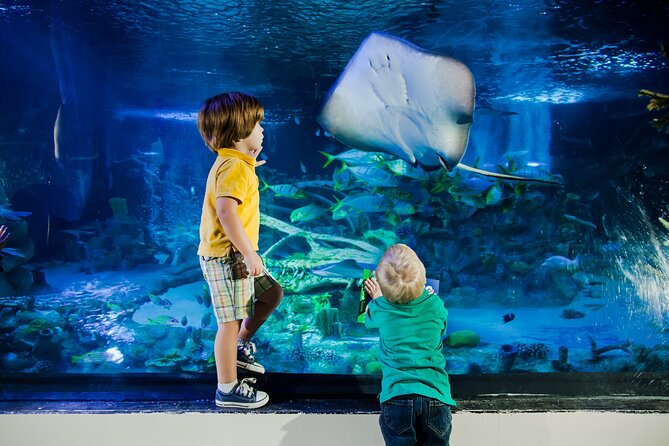 SEA LIFE Aquarium Arizona Admission Ticket - The Animals You Actually Came For: Sharks, Rays, Seahorses, and More