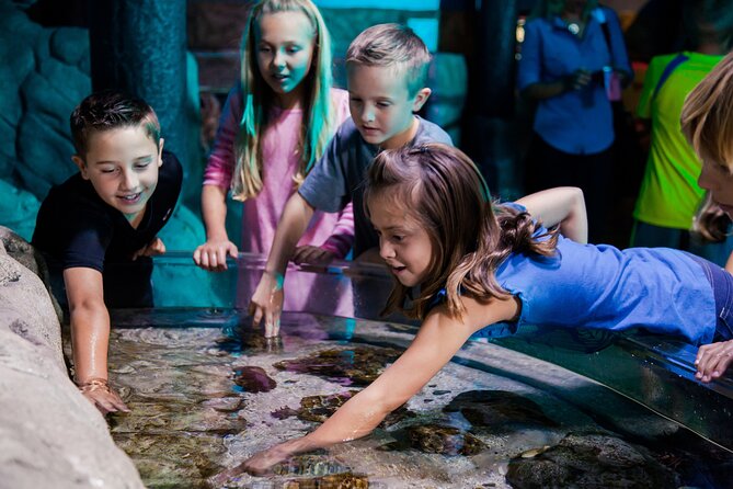 SEA LIFE Aquarium Arizona Admission Ticket - The Best Part for Kids: Tunnels, Bubbles, and Up-Close Viewing