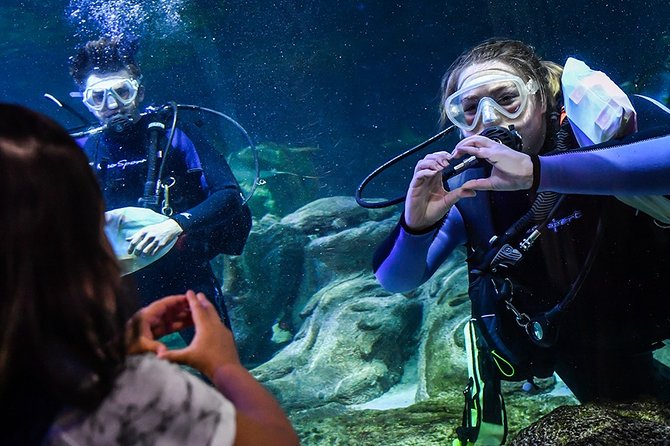 SEA LIFE Aquarium Arizona Admission Ticket - Live Talks and Feedings: Timing Makes the Visit Feel Longer