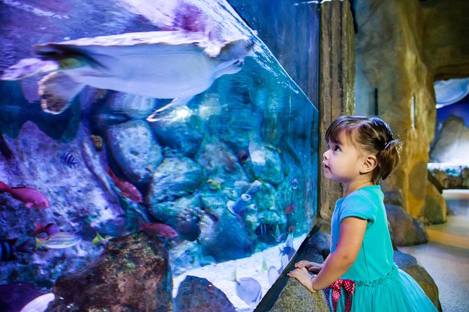 SEA LIFE Aquarium Arizona Admission Ticket - Stop-by-Stop: What to Expect in Each Part of the Day
