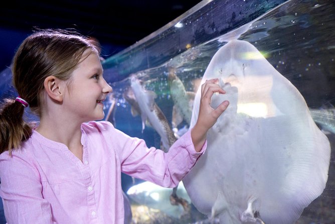 SEA LIFE Aquarium Arizona Admission Ticket - Timing: How to Get a Smooth 1–2 Hour Visit