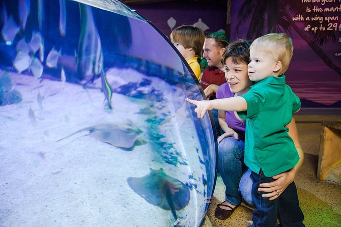 SEA LIFE Aquarium Arizona Admission Ticket - Your Visit Flow: From The Lobby to the “Rockpool Explorer” Path