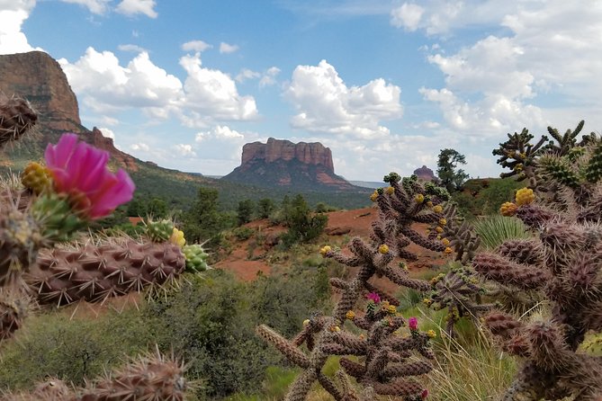 Sedona and Grand Canyon Full-Day Tour - Stop 2: Uptown Sedona for Shops and a To-Go Lunch (1 Hour)