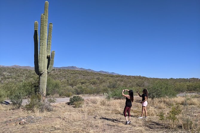 Sedona Day Trip from Phoenix - Montezuma Castle: The Optional Cliff-Dwelling Detour