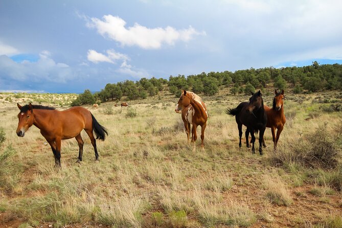 Sedona Private Custom Tour - Key Highlights Worth Booking For