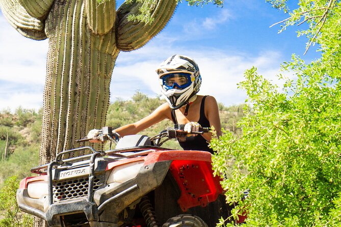 Self-Guided Centipede Desert ATV Rental - Training Camp Basics: Passing the Course Before You Go