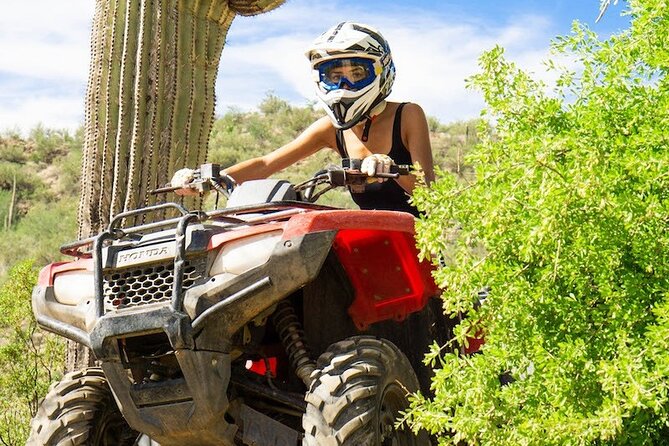 Sidewinder ATV Training & Centipede Tour Combo - Guided ATV Training & Tour - Who this is best for (and who should rethink it)