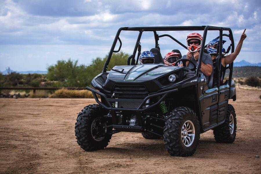 Sonoran Desert: Guided 2-Hour UTV Adventure - Native Flora and Fauna: What You’re Actually Looking For