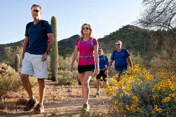 Sonoran Desert Guided Hike - Lost Dog Wash Trailhead: the easy start that sets the tone