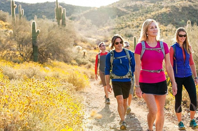 Sonoran Desert Guided Hike - What you get included—and what you must bring