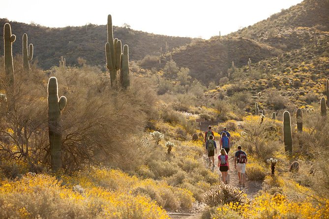 Sonoran Desert Guided Hike - Who should do this Sonoran Desert hike (and who might not love it)