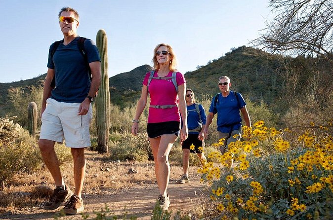 Sonoran Desert Guided Hike - Should you book the Sonoran Desert Guided Hike?