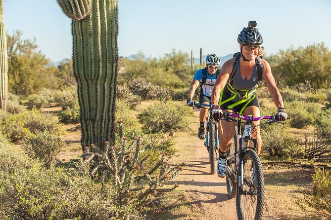 Sonoran Desert Guided Mountain Bike Tour - Quick hits before you go