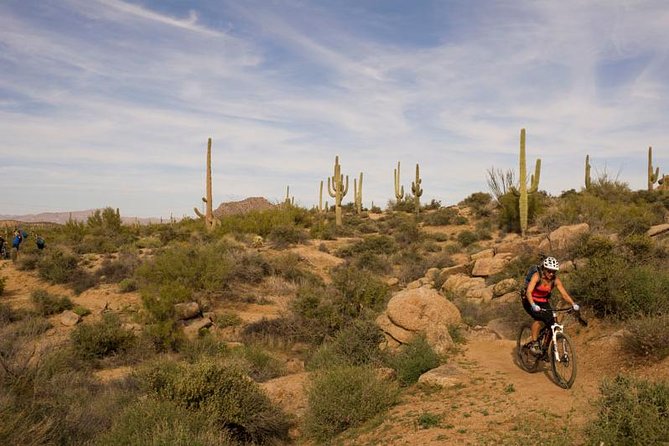 Sonoran Desert Guided Mountain Bike Tour - Meeting at Pima Dynamite Trailhead: the start point that shapes the whole ride