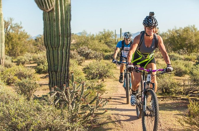 Sonoran Desert Guided Mountain Bike Tour - How the guides manage safety and pacing (and why it matters)