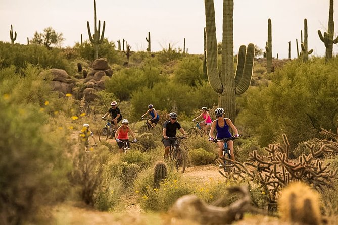 Sonoran Desert Guided Mountain Bike Tour - Desert learning without a lecture: plants, animals, and history on the move