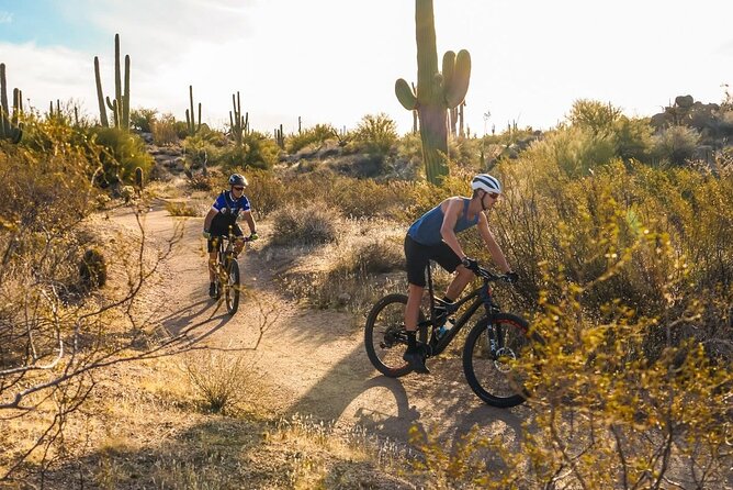 Sonoran Desert Guided Mountain Bike Tour - Skill levels: who will feel great, and who should plan carefully