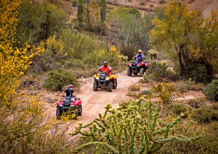 Sonoran Desert: Guided UTV or ATV Desert Tour - Why this UTV/ATV tour feels like a Phoenix reset